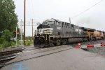 NS 4623 leads 28C